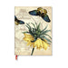 Golden Fritillaria Ultra Lined Softcover Journal (Elastic Band Closure)