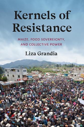 Kernels of Resistance