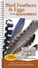 Bird Feathers & Eggs of the Southwest
