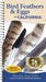 Bird Feathers & Eggs of California