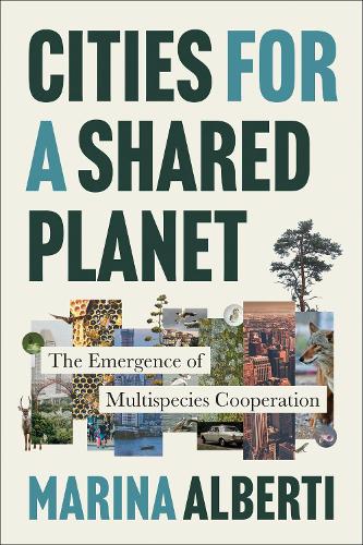 Cities for a Shared Planet