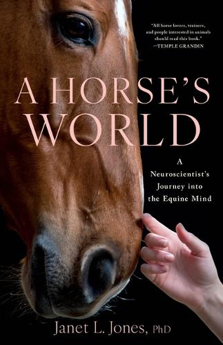 A Horse's World
