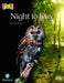 Bug Club Reading Corner: Age 4-5: Night to Day