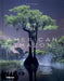 American Amazon