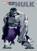 Jeph Loeb & Tim Sale: Hulk
