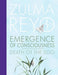 Emergence Of Consciousness