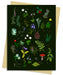 Anna Stead Forest Floor Greeting Card Pack