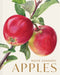 Rosie Sanders’ Apples