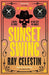 Sunset Swing