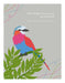 Positively Green Greeting Cards: Birthday - "Never forget that you are one of a kind" - Buckminster Fuller (Pack of 6)