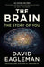 The Brain