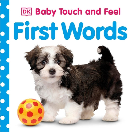 Baby Touch and Feel First Words