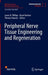 Peripheral Nerve Tissue Engineering and Regeneration