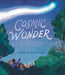 Cosmic Wonder: Halley's Comet and Humankind