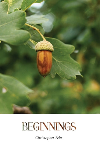 Beginnings