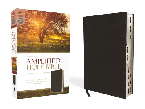 Amplified Holy Bible, Bonded Leather, Black, Thumb Indexed