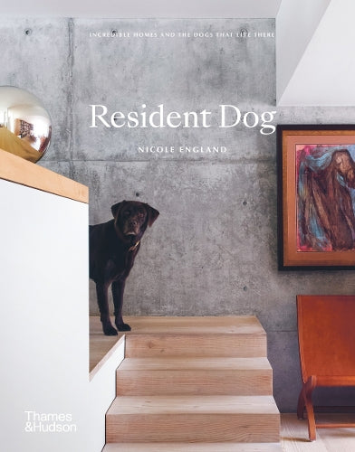 Resident Dog
