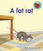 A fat rat