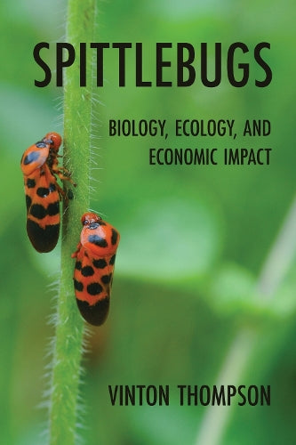 Spittlebugs