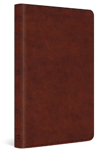 ESV Large Print Value Thinline Bible