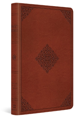 ESV Large Print Value Thinline Bible