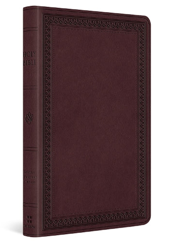 ESV Large Print Value Thinline Bible