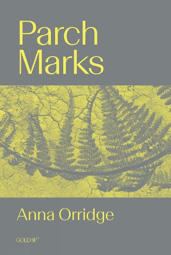 Parch Marks