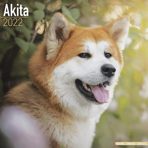 Akita 2022 Wall Calendar