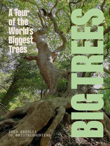 BIG TREES