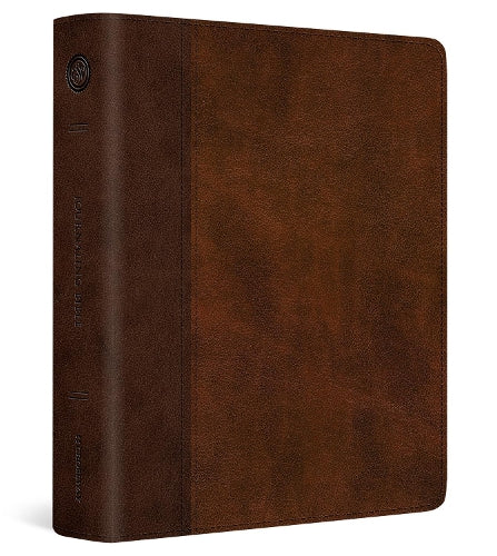 ESV Journaling Bible, Red Letter