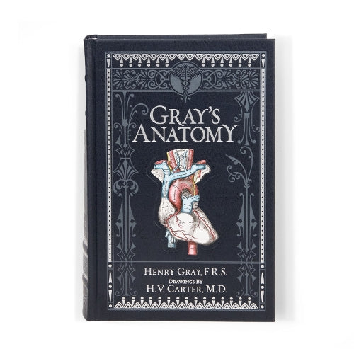 Gray's Anatomy