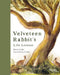 Velveteen Rabbit's Life Lessons
