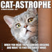 Cat-Astrophe 2027 Mini