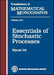 Essentials of Stochastic Processes