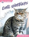 Exotic Shorthairs