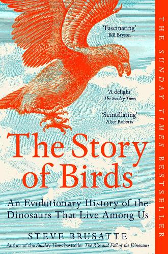 The Story of Birds