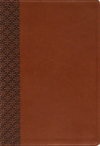 Amplified Holy Bible, Large Print, Leathersoft, Brown