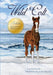 Wild Colt