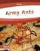 Army Ants