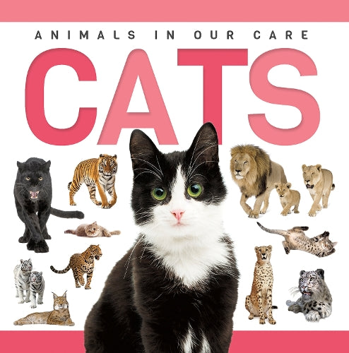 Cats