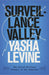 Surveillance Valley