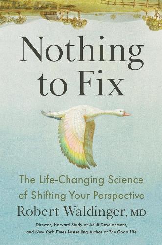 Nothing to Fix