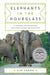 Elephants in the Hourglass
