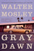 Gray Dawn