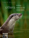 Otters