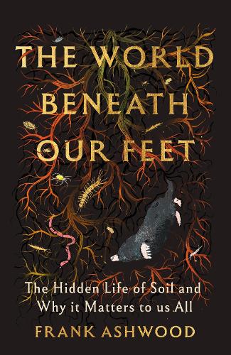 The World Beneath Our Feet
