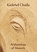 Gabriel Chaile: Archaeology of Memory