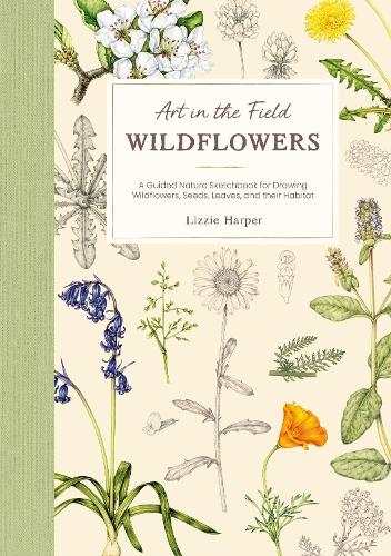 Art in the Field: Wildflowers