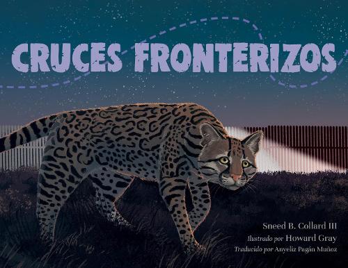 Cruces fronterizos
