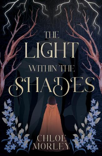The Light Within the Shades